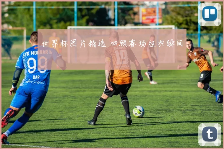 世界杯图片精选 回顾赛场经典瞬间